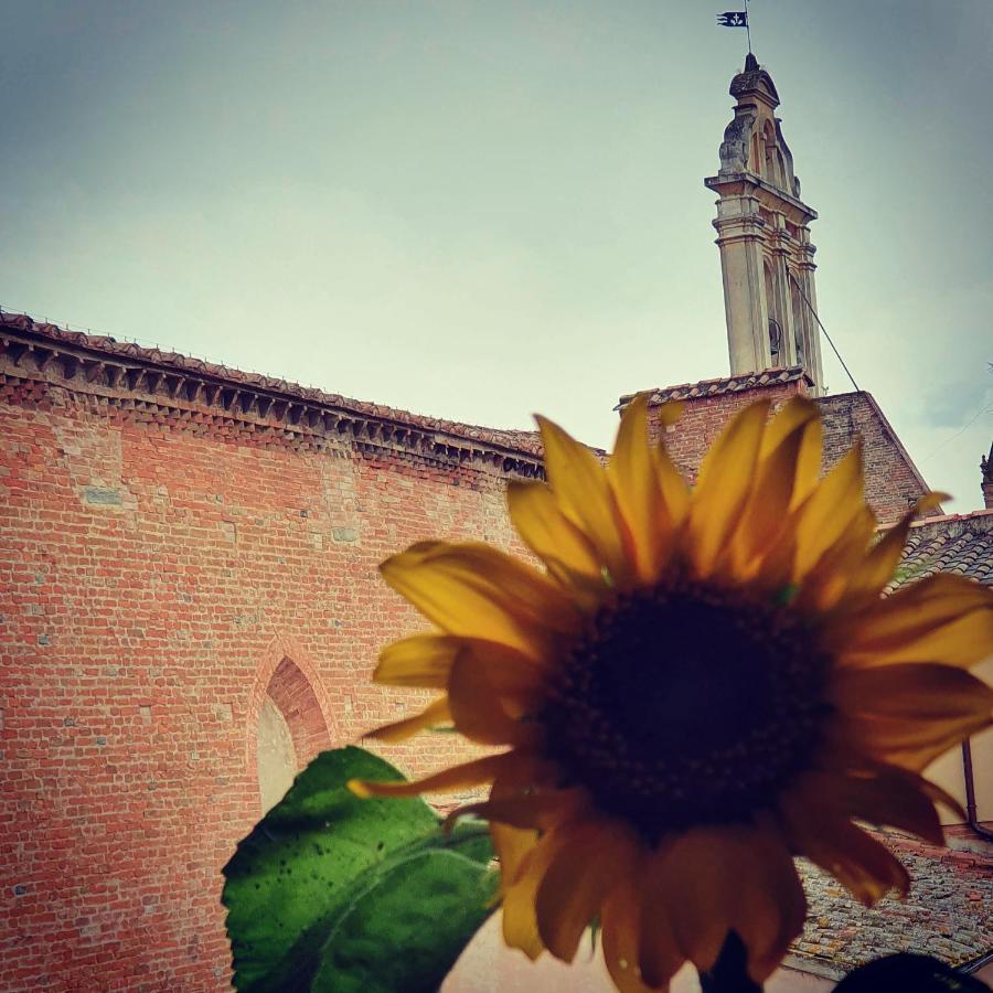 Appartaments San Francesco Castelfiorentino Exteriér fotografie